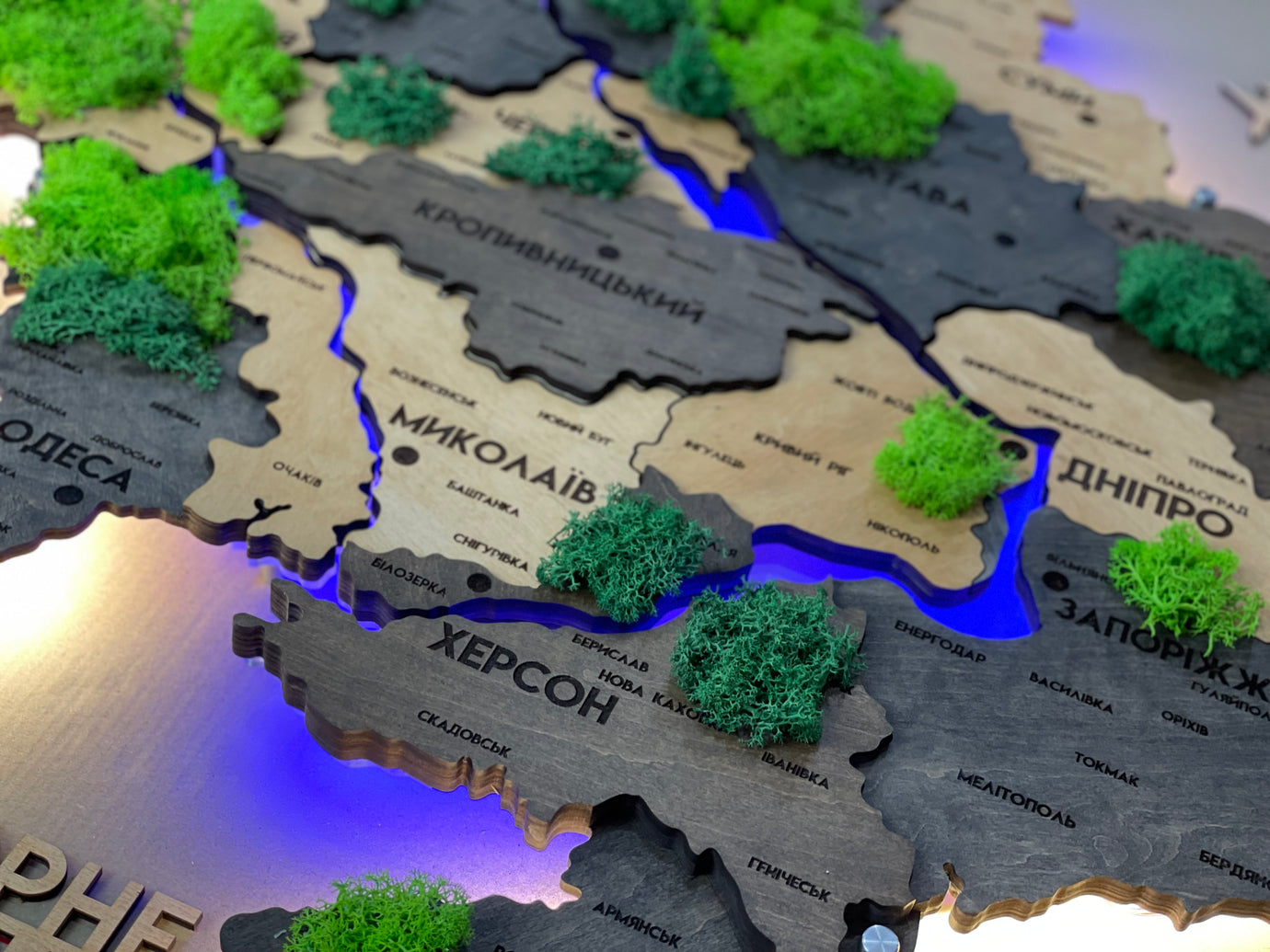 Деталізована багатошарова карта України з підсвіткою річок та по контуру і мохом колір Brut