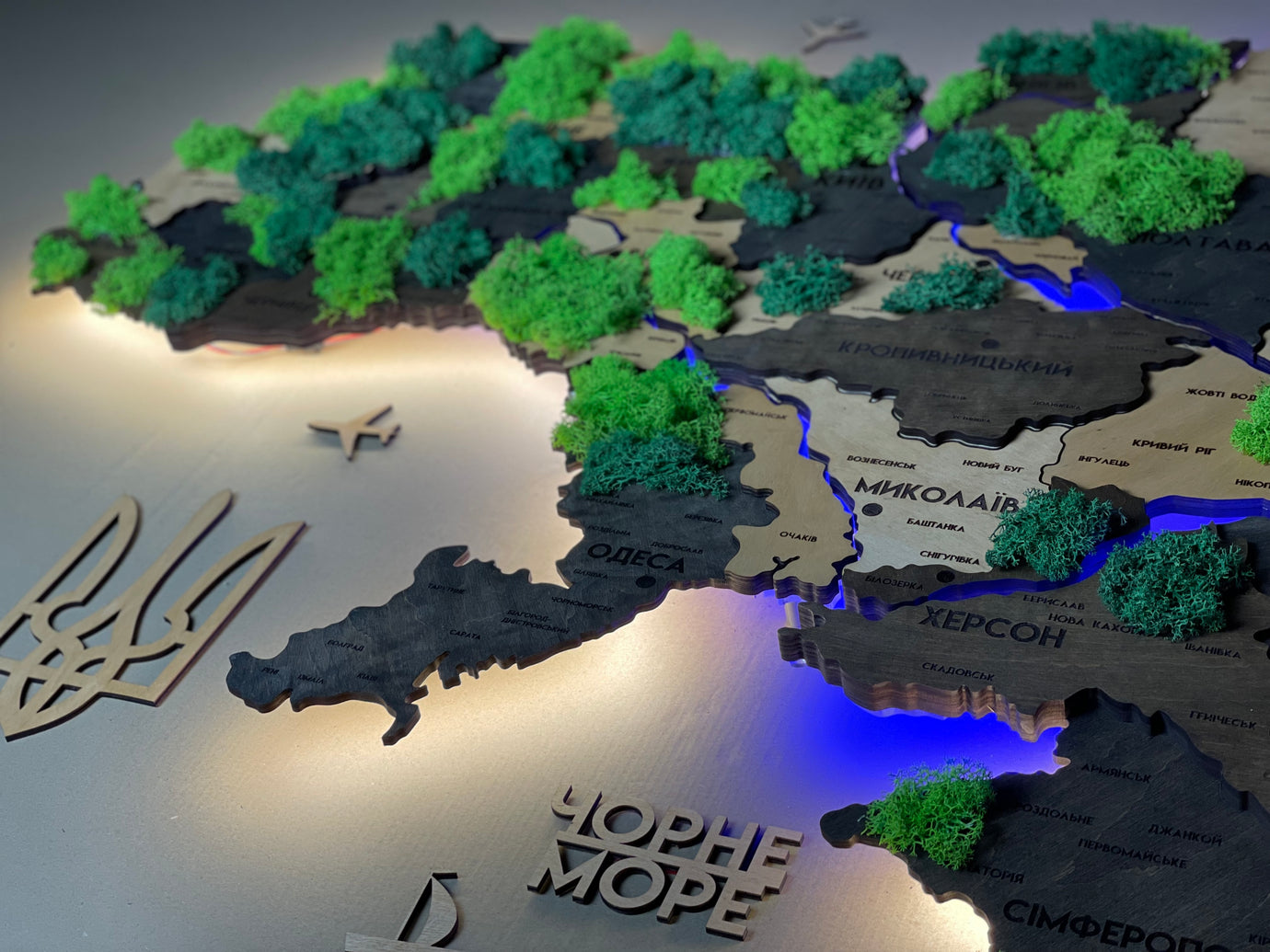 Деталізована багатошарова карта України з підсвіткою річок та по контуру і мохом колір Brut