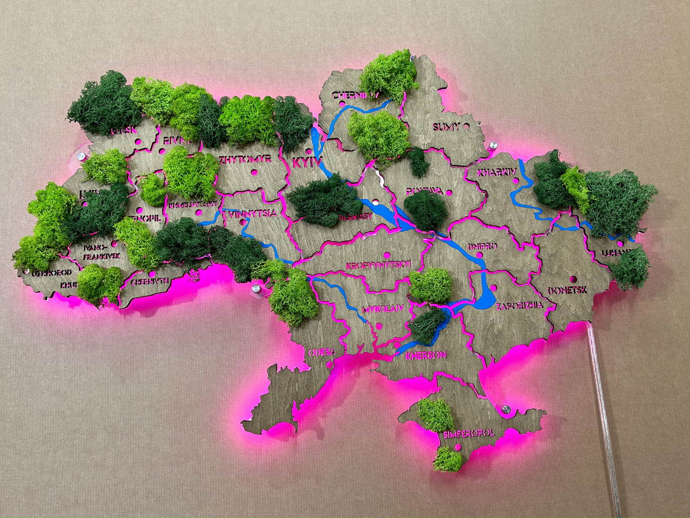 Карта України англійською на акрилі з річками, мохом та підсвіткою RGB колір Venge