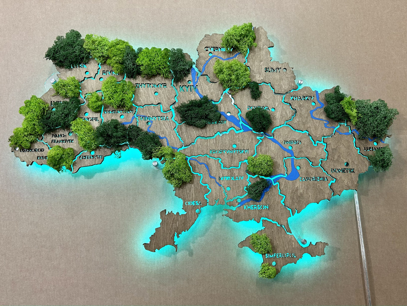 Карта України англійською на акрилі з річками, мохом та підсвіткою RGB колір Venge