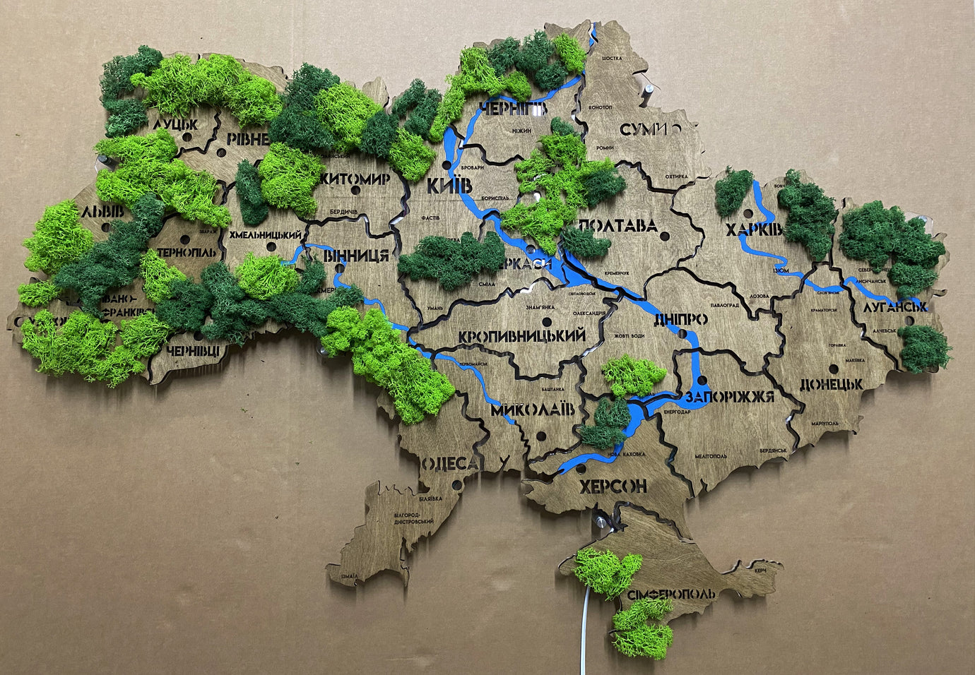 Карта України на акрилі з річками, мохом та підсвіткою RGB колір Venge