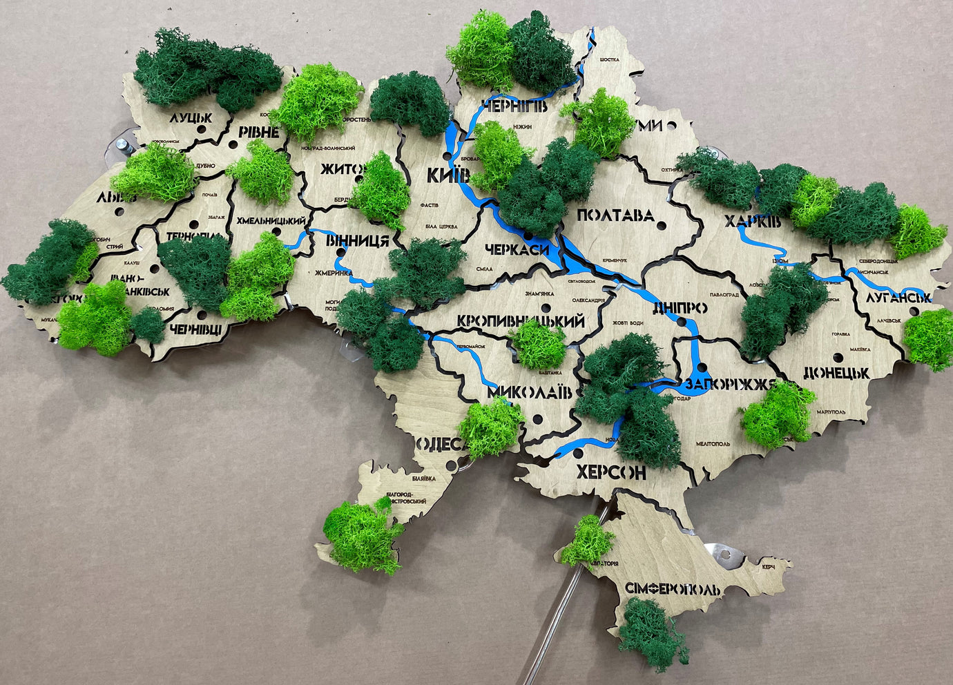 Карта України на акрилі з річками, мохом та підсвіткою між областями колір Oak Moss