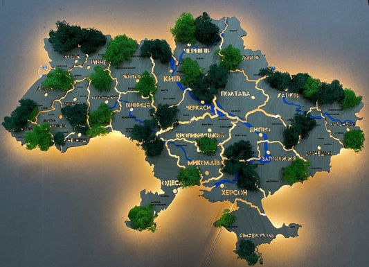 Карта України на акрилі з річками, мохом та підсвіткою між областями колір Oak Moss