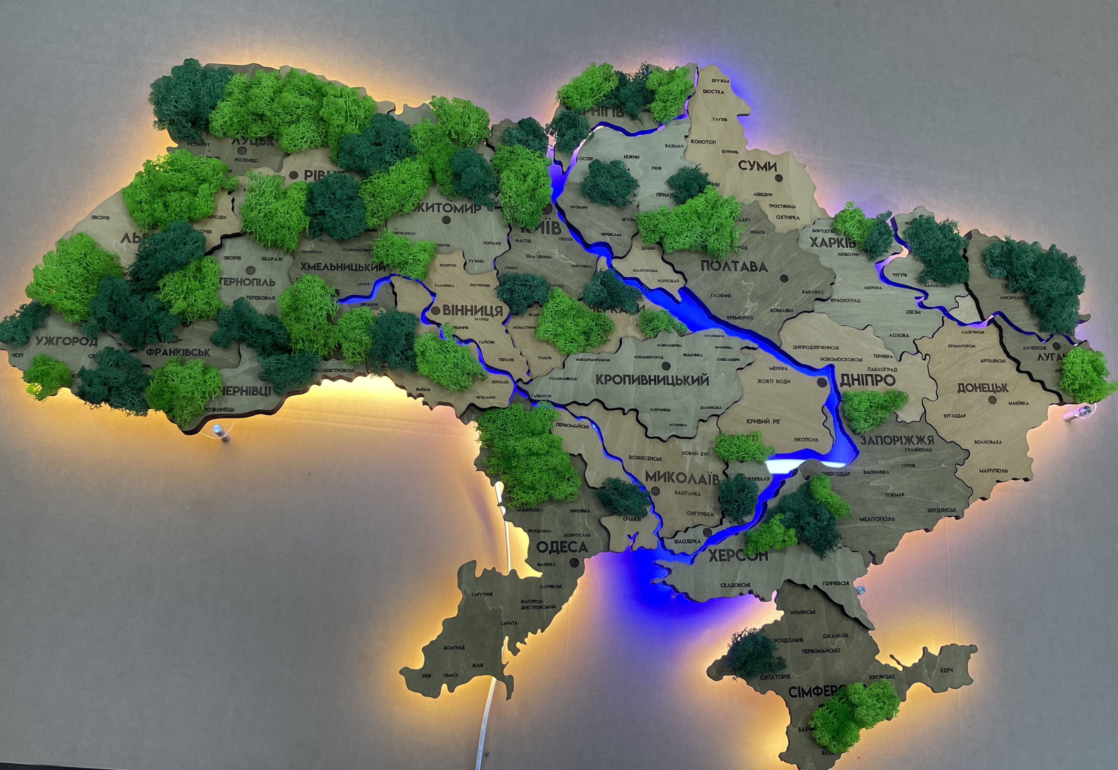 detail_wooden_ukraine_led_map_moss_light-tree