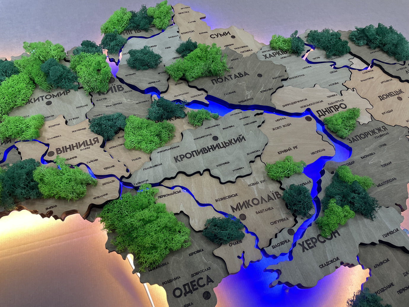 Деталізована карта України з підсвіткою річок та по контуру і мохом  колір Light tree