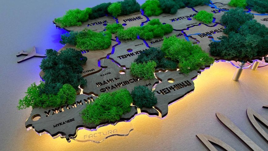 Карта Украины на акриле с реками, мхом и подсветкой между областями цвет Light Tree 21412620 фото