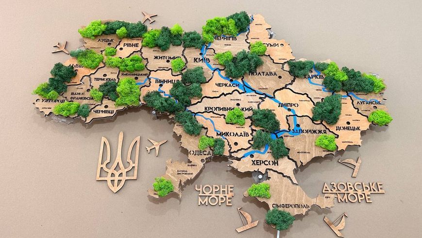 Карта України на акрилі з річками, мохом та підсвіткою між областями колір Light Tree 21412625 фото