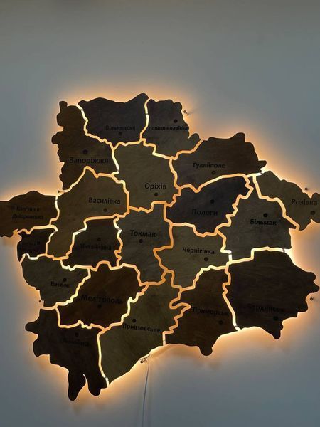Карта Запорізької області на акрилі, з підсвіткою між районами, колір Rosewood 5432825 фото