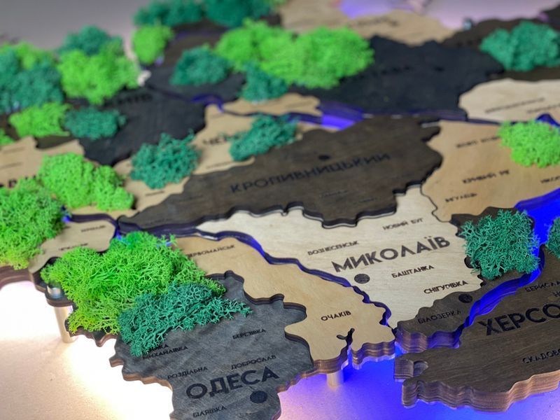 Подробная многослойная карта Украины с подсветкой рек и по контуру и с мхом, цвет Brut 21313025 фото