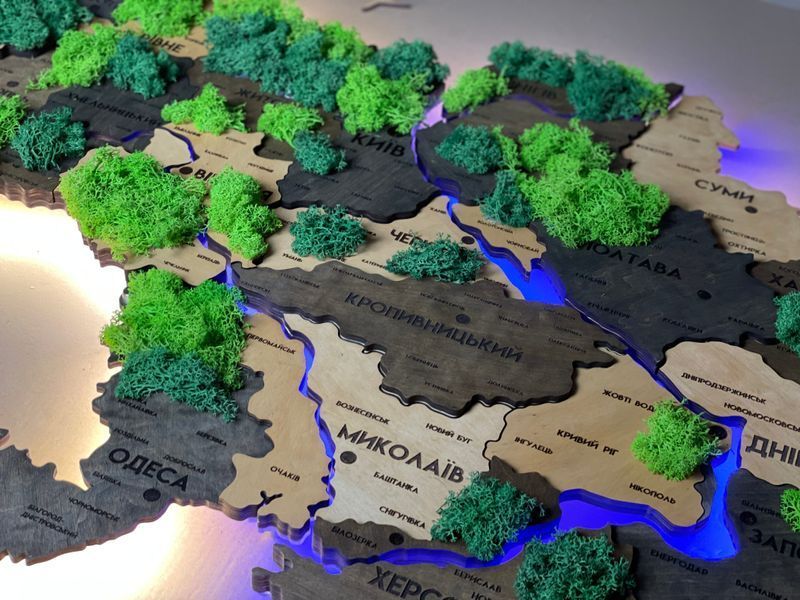 Подробная многослойная карта Украины с подсветкой рек и по контуру и с мхом, цвет Brut 21313025 фото