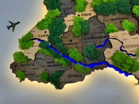 Деталізована багатошарова карта України з підсвіткою річок та по контуру і мохом колір Brut 21313090 фото