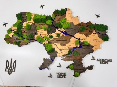 Деталізована багатошарова карта України з підсвіткою річок та по контуру і мохом колір Brut 21313090 фото