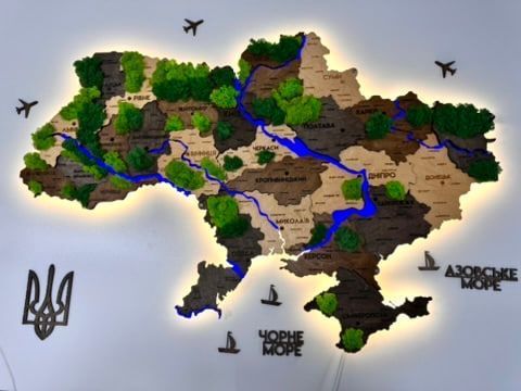 Деталізована багатошарова карта України з підсвіткою річок та по контуру і мохом колір Brut 21313090 фото
