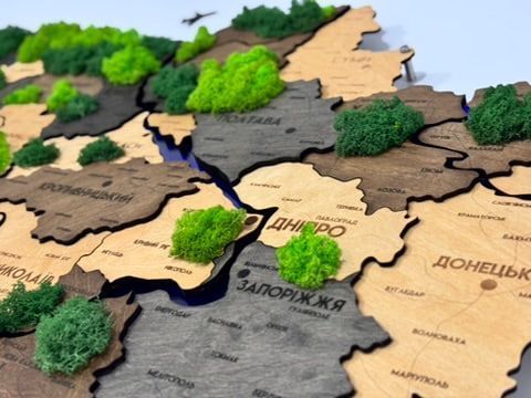 Деталізована багатошарова карта України з підсвіткою річок та по контуру і мохом колір Brut 21313090 фото