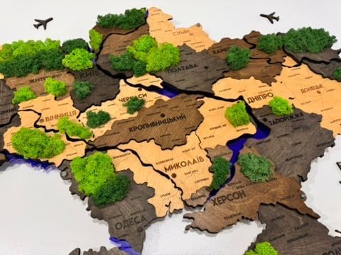 Деталізована багатошарова карта України з підсвіткою річок та по контуру і мохом колір Brut 21313090 фото