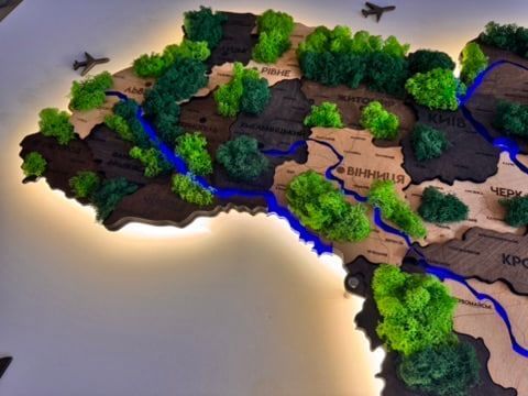 Подробная многослойная карта Украины с подсветкой рек и по контуру и с мхом, цвет Brut 21313015 фото