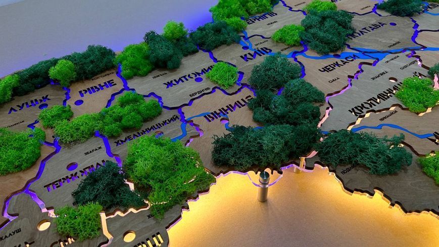 Карта Украины на акриле с реками, мхом и подсветкой между областями цвет Light Tree 21412612 фото